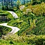 ikona_vino_HUOF_200