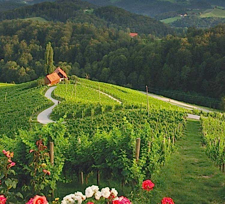 koncne-vsebine_destinacija-SEN_HUOF_750_jul24
